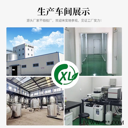 黄芩苷 90%含量 黄芩提取物 现货供应 量大从优 包邮图5