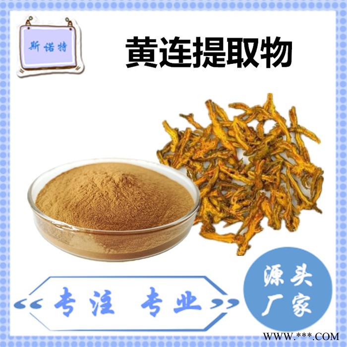 斯诺特 黄连粉 黄连速溶粉 厂家供应 包邮图4