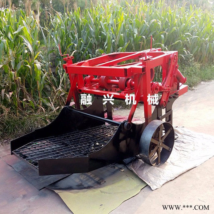 吉林出辣根机器 辣根收获机 蒲公英收获机价格 板蓝根收获机工作视频 板式白芷药材收获机图7