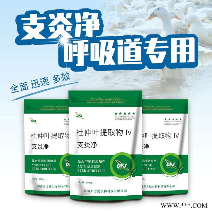 板蓝根鸡呼吸道能用图3