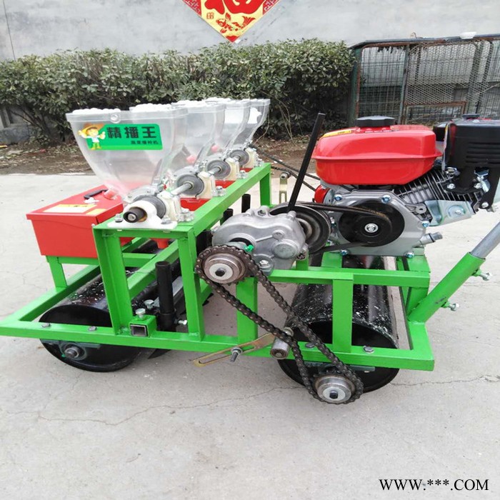 板蓝根蔬菜播种机 6行胡萝卜播种机 小型蔬菜播种机种植机图7