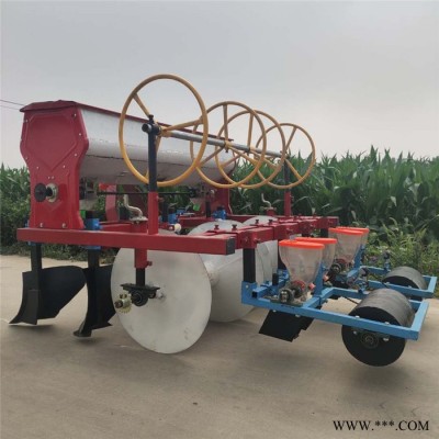油菜精播机 启航 板蓝根播种机