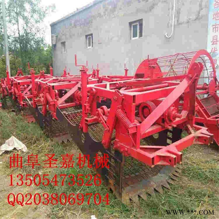 圣嘉板蓝根药材挖掘机订购热线 深根茎药材收获机 白芷出药机厂家定做图7