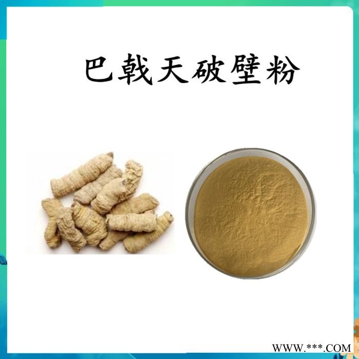 扶风斯诺特  湖北贝母破壁粉   水溶 可定制图2