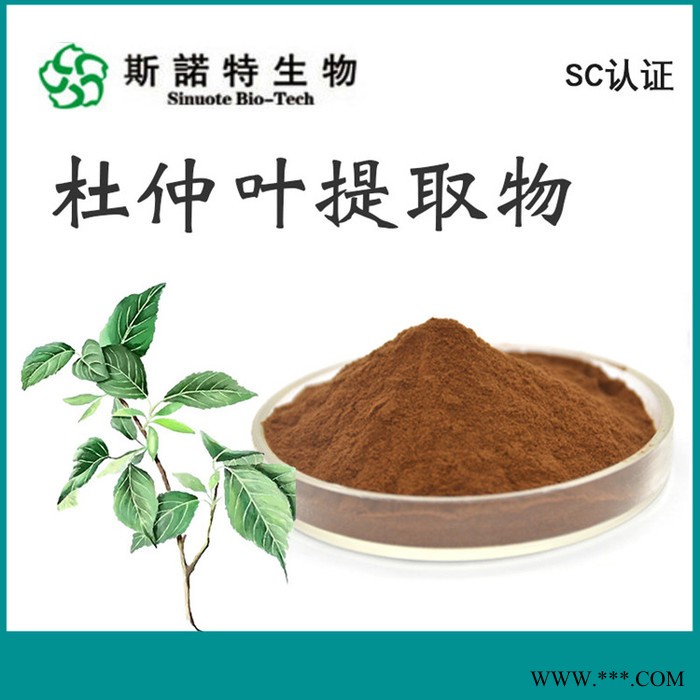 实力厂家 白芷提取物 白芷粉 100目 喷雾干燥 全水溶 食品原料图3