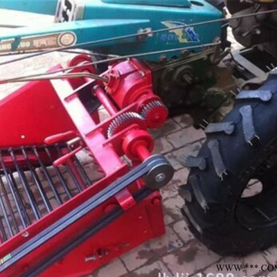 不伤皮土豆收获机 贝母大蒜收割机 牵引式土豆收获机