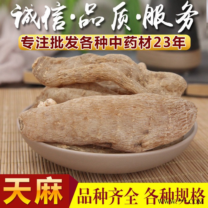 川芎白芷天麻炖猪骨功效天麻粉**天麻超细粉特级图2