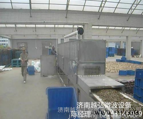 越弘YH柴胡微波干燥机图7