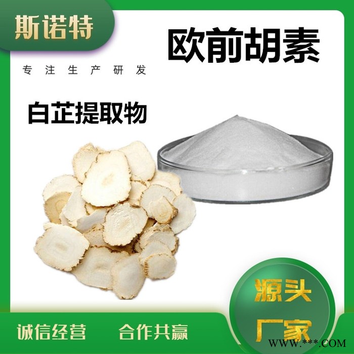 斯诺特  白芷提取物 白芷粉 厂家供应 包邮图3
