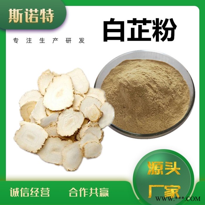 斯诺特  白芷提取物 白芷粉 厂家供应 包邮图2
