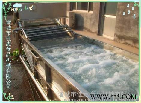 板蓝根高压喷淋式气泡清洗机图5