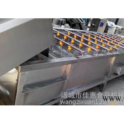 板蓝根高压喷淋式气泡清洗机