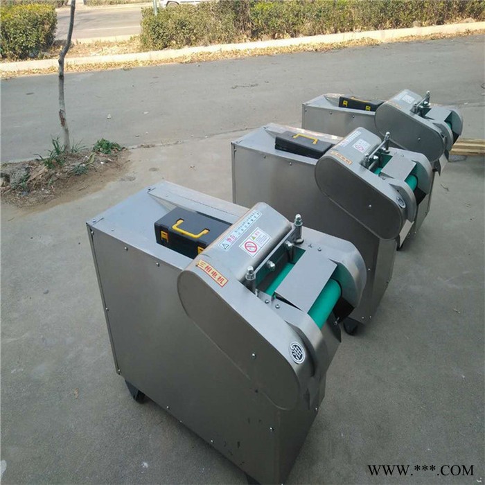 白芷切片机设备 启航萝卜切丝机 酱菜厂切段机图2