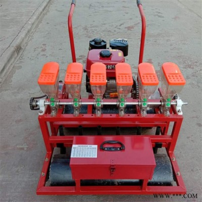 黄萝卜菠菜播种机/手推式播种机/白芷药材播种机价格