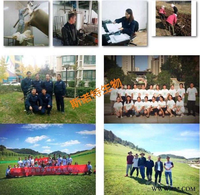 浙贝母提取物  浙贝母浸膏  水溶性浙贝母粉  规格可定制图3