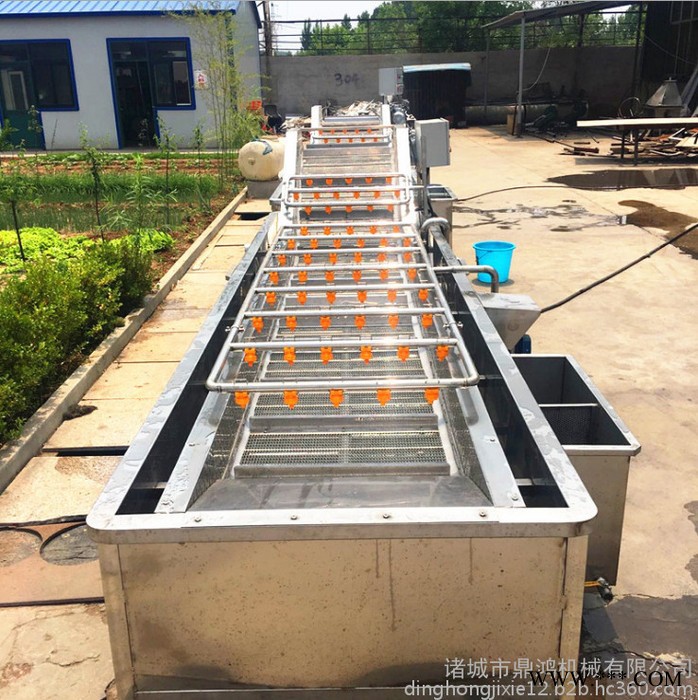 鼎鸿QX-3000型贝母清洗机 扇贝清洗机 带鱼清洗机 鳕鱼清洗机报价 中药材清洗流水线 多功能洗菜机 海产品加工设备图8