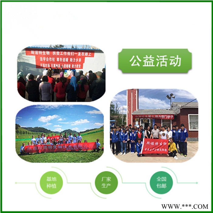 斯诺特 北沙参提取物 皂甙 北沙参粉 厂家包邮图6