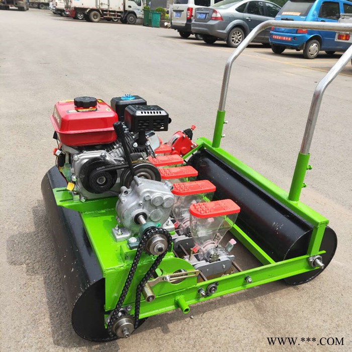 省时省力播种机 蔬菜播种机 白芷白头翁蒲公英中药材精播机图5