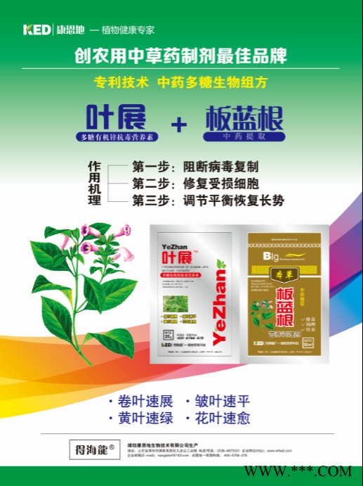 得海龙 叶展板蓝根 阻断病毒复制 蔬菜病毒 辣椒病毒 西葫芦病毒专用产品图2