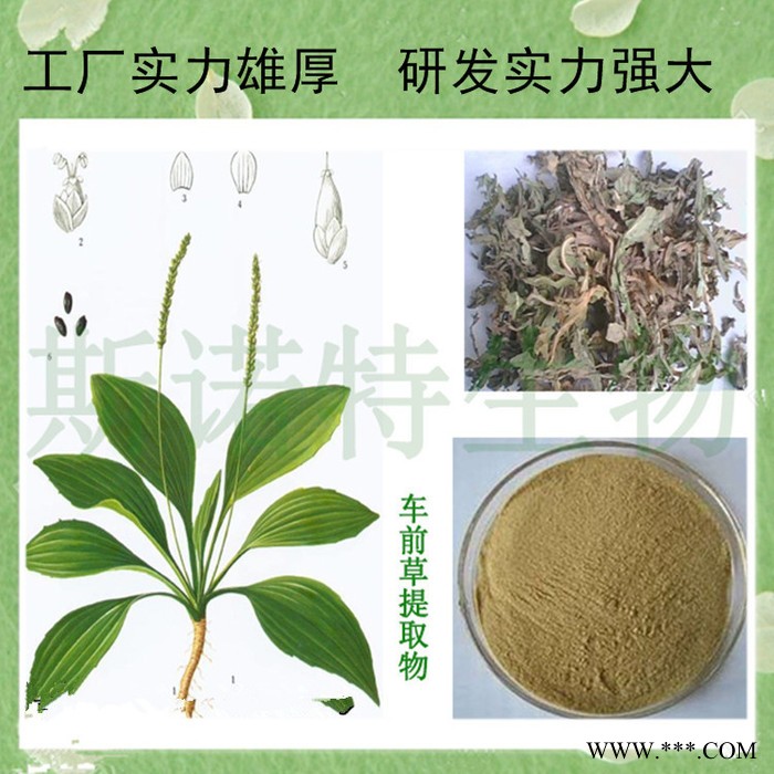 川贝母提取物30:1 川贝母粉   川贝母皂甙粉   高比例萃取图2