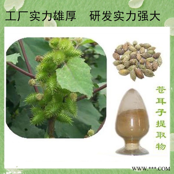 川贝母提取物30:1 川贝母粉   川贝母皂甙粉   高比例萃取图7