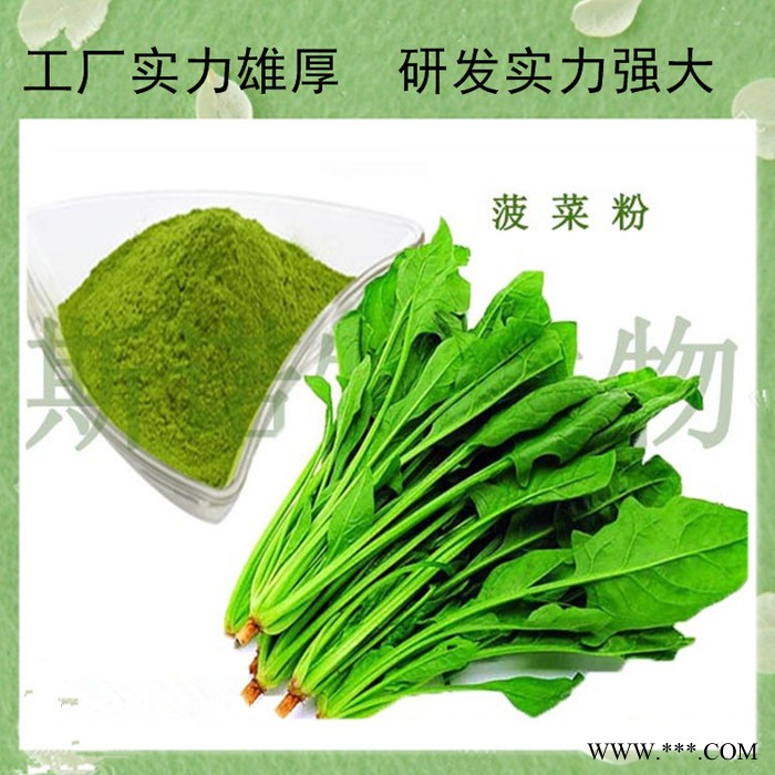 川贝母提取物30:1 川贝母粉   川贝母皂甙粉   高比例萃取图6