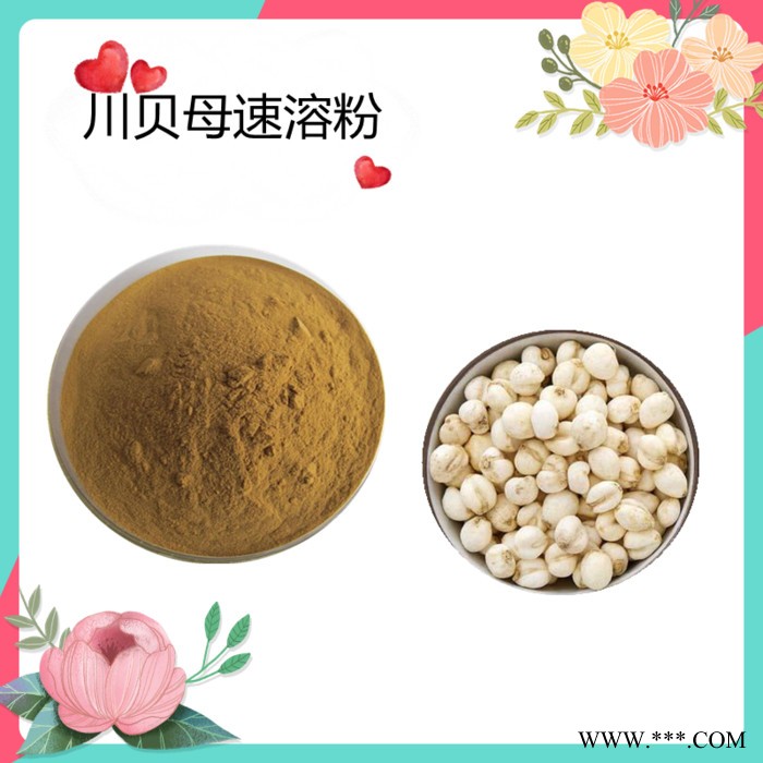 川贝母速溶粉   水溶   可定制  斯诺特生物图4