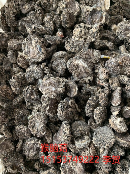 玛卡菌 猴脑菌图3