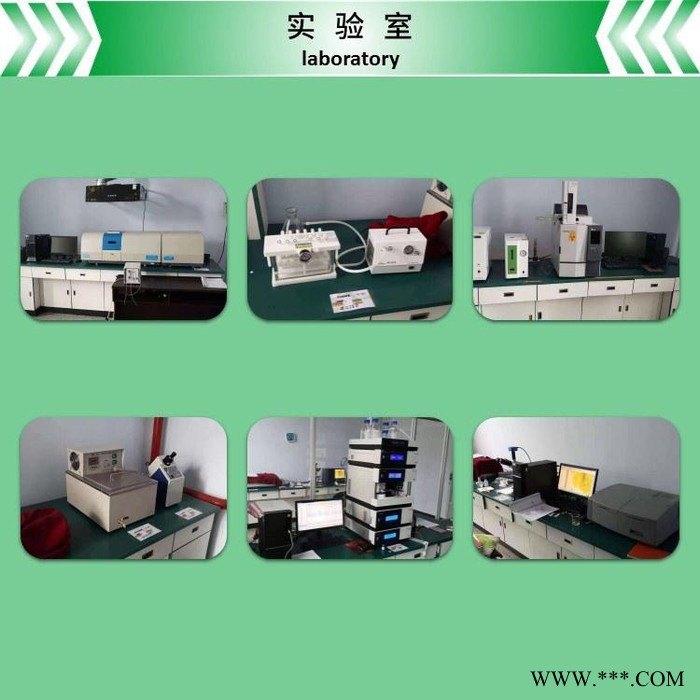 白芷提取物  白芷粉  速溶  斯诺特生物图3