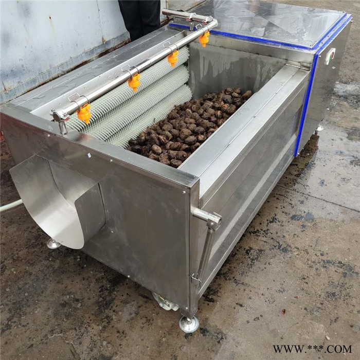 景翔牌川贝母毛辊清洗机 山药清洗机 鸡翅清洗机图6