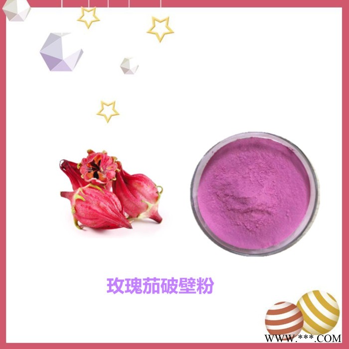 斯诺特 白芷破壁粉 水溶性 生产厂家图6