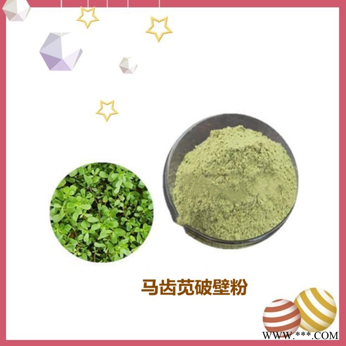 斯诺特 白芷破壁粉 水溶性 生产厂家图4