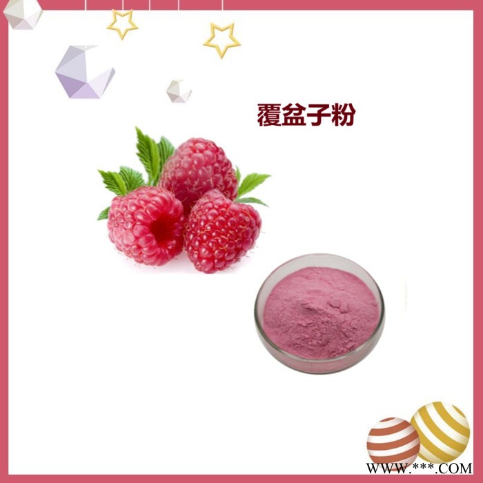 斯诺特 白芷破壁粉 水溶性 生产厂家图2