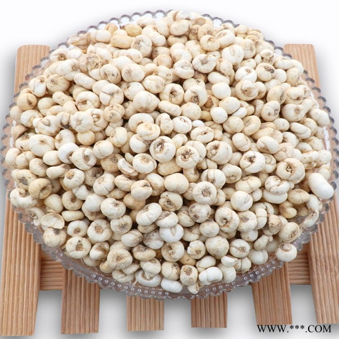 藏锦源正宗西藏**贝母 **藏贝母川贝母 特级颗颗精选图2