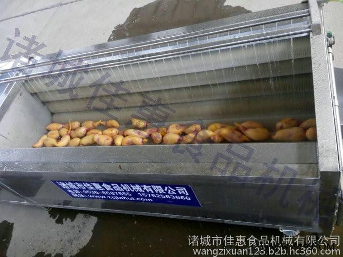 苦参/板蓝根根茎类专用清洗去皮机图7