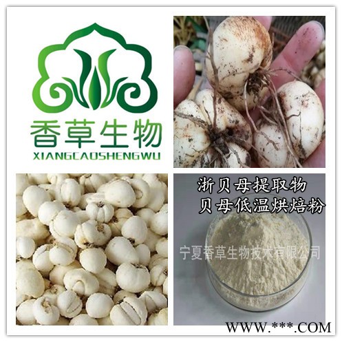 浙贝母粉   浙贝母提取物 浙贝母速溶粉图7