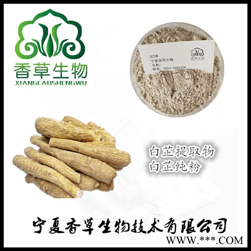白芷提取物实力厂家  供应白芷粉100目 白芷浸膏粉水溶型图2
