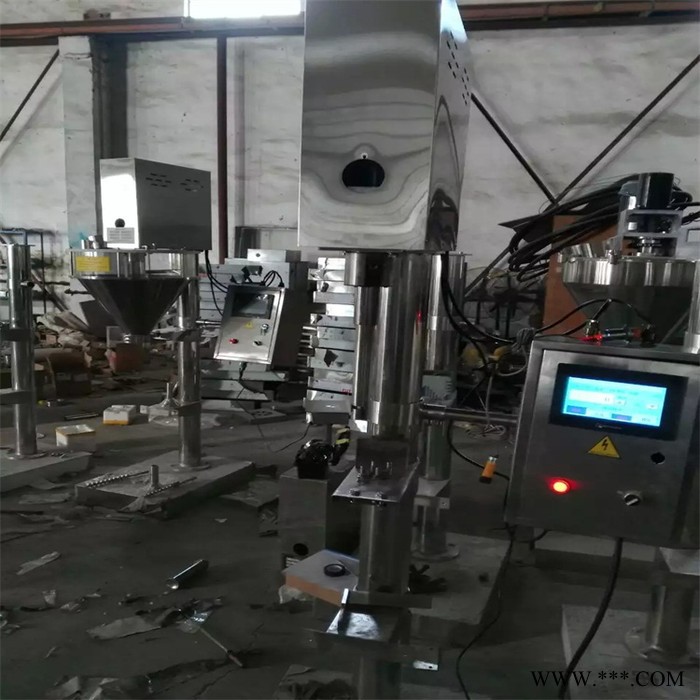 小型颗粒粉剂包装机 瓜子花生板蓝根粉末包装机  半自动包装机价格优惠图6
