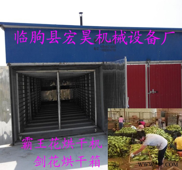 轻马勃象贝母烘干机 血余炭烘干箱 琥珀粉干燥房 紫丹参烘干设备 箱式干燥设备图8