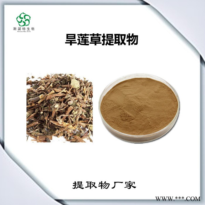 白沙参提取物 白沙参皂甙 生产厂家 斯诺特图3