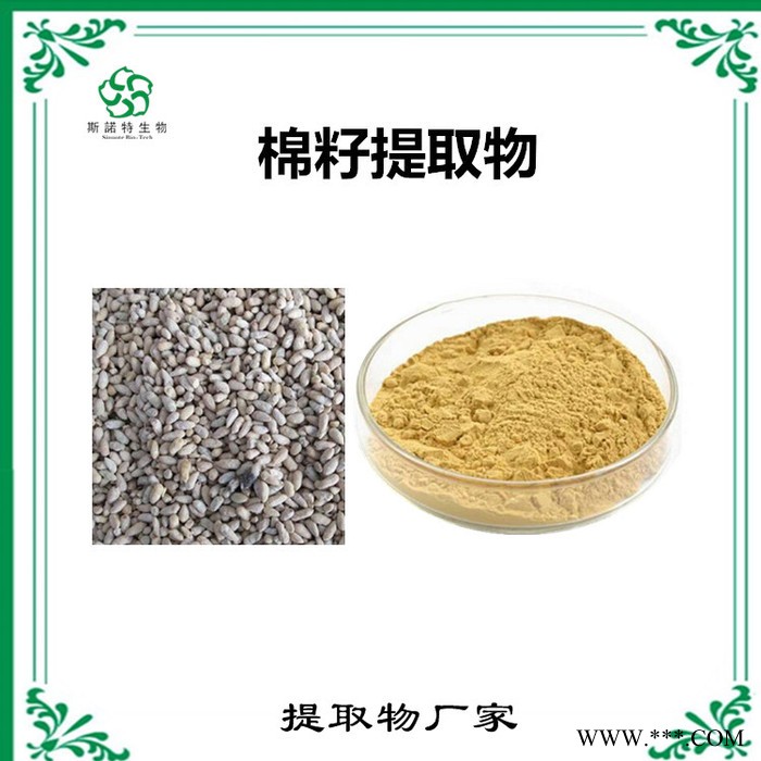 白沙参提取物 白沙参皂甙 生产厂家 斯诺特图7