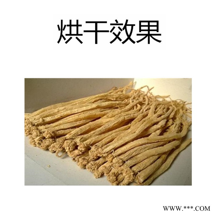 科能KN-145RD 党参烘干机图2