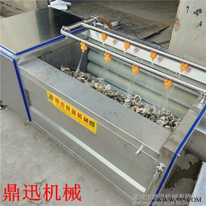 鼎迅DX-1000 毛刷清洗机 玛卡清洗机 芋头清洗机 毛刷去皮清洗机规格 毛刷清洗机厂家