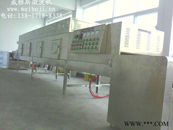 威雅斯隧道式白芷粉杀菌设备图3