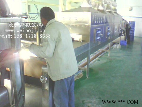 威雅斯隧道式白芷粉杀菌设备图4