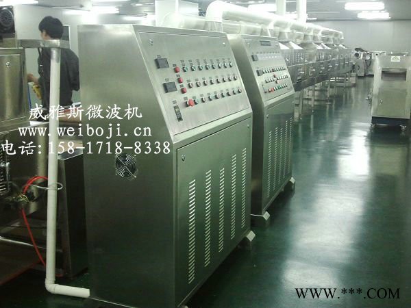 威雅斯隧道式白芷粉杀菌设备图2