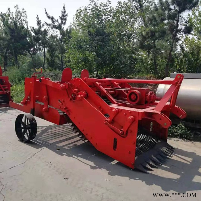 白芷起药机 麦冬起药机厂家 融兴 白芷收割机 黄芪起药机出售图7