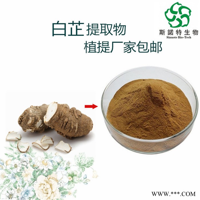 白芷提取物  植物提取物  生产厂家供应图2