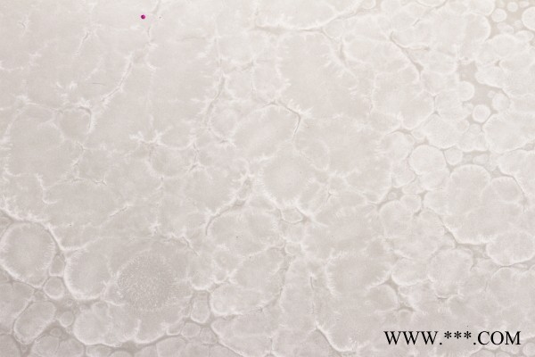 贝母漆 长期贝母漆图4