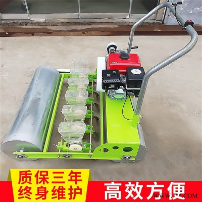 元胡板蓝根播种机 行距可调节藜麦播种机 简单易懂四六行蔬菜 稻谷播种机富兴